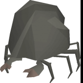 Rock crab